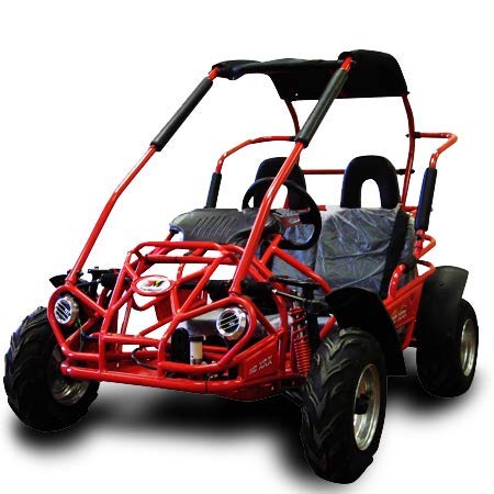 Amazon.com: TRAILMASTER Mid XRX/R - Deluxe Go Kart Buggy with